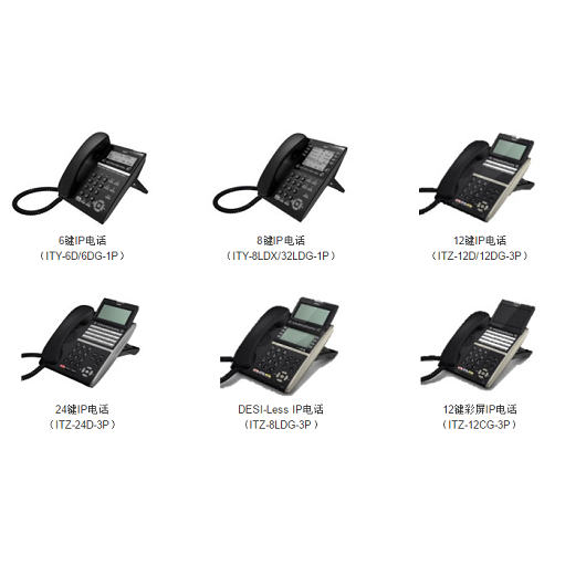 DT800系列IP电话机